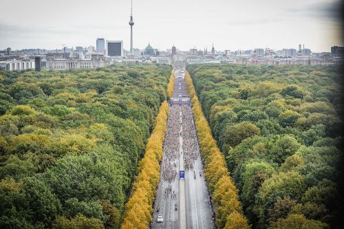 MARATONA DI BERLINO | 42K 2019